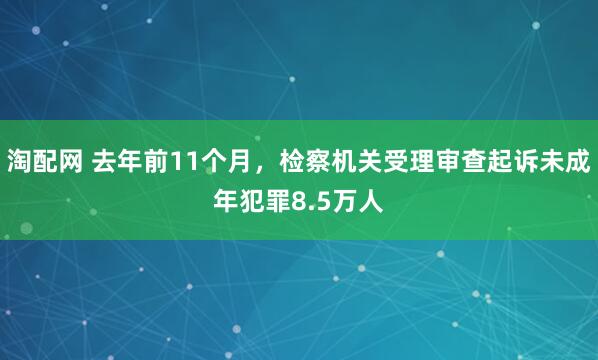 淘配网 去年前11个月，检察机关受理审查起诉未成年犯罪8.5万人