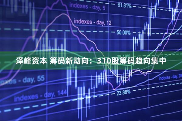 泽峰资本 筹码新动向：310股筹码趋向集中