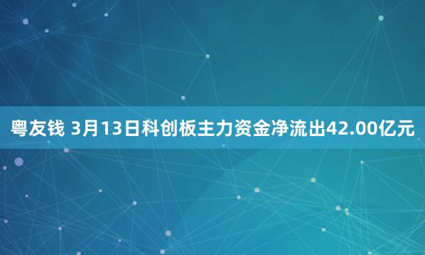 粤友钱 3月13日科创板主力资金净流出42.00亿元