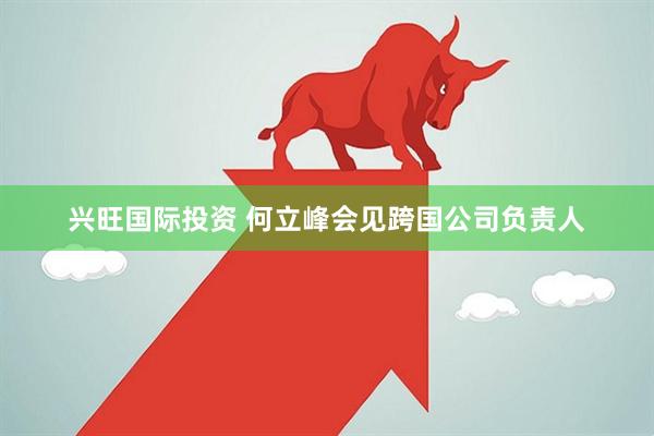 兴旺国际投资 何立峰会见跨国公司负责人