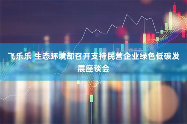 飞乐乐 生态环境部召开支持民营企业绿色低碳发展座谈会