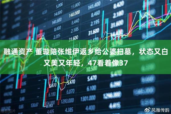 融通资产 董璇陪张维伊返乡给公婆扫墓，状态又白又美又年轻，47看着像37