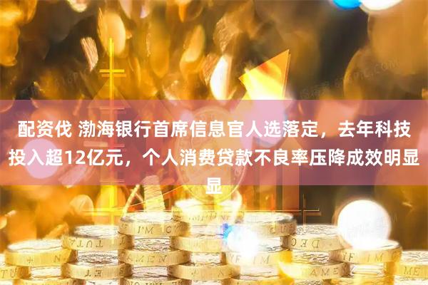 配资伐 渤海银行首席信息官人选落定，去年科技投入超12亿元，个人消费贷款不良率压降成效明显