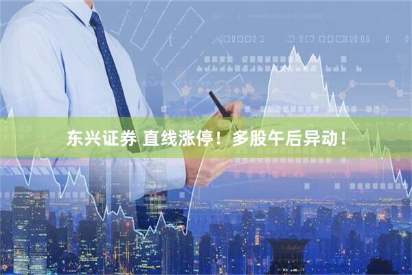 东兴证券 直线涨停！多股午后异动！
