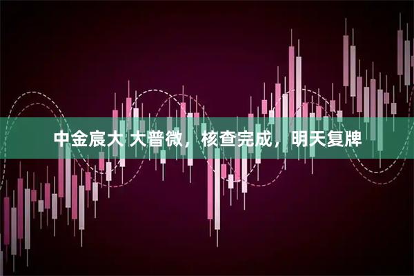 中金宸大 大普微，核查完成，明天复牌