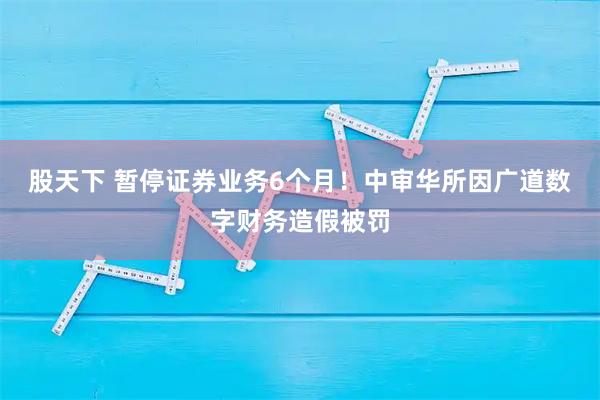 股天下 暂停证券业务6个月！中审华所因广道数字财务造假被罚