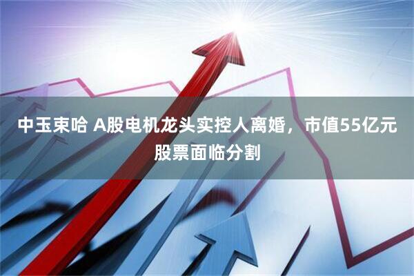 中玉束哈 A股电机龙头实控人离婚，市值55亿元股票面临分割