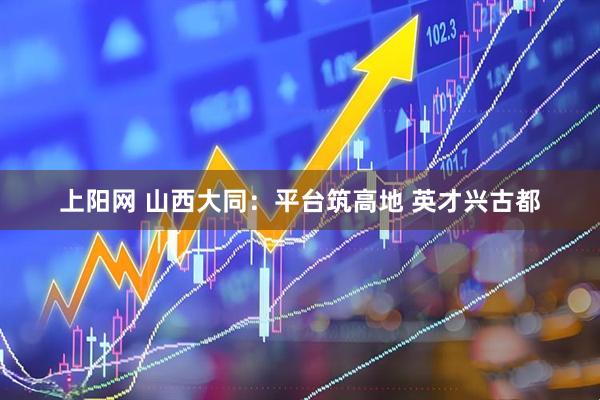 上阳网 山西大同：平台筑高地 英才兴古都