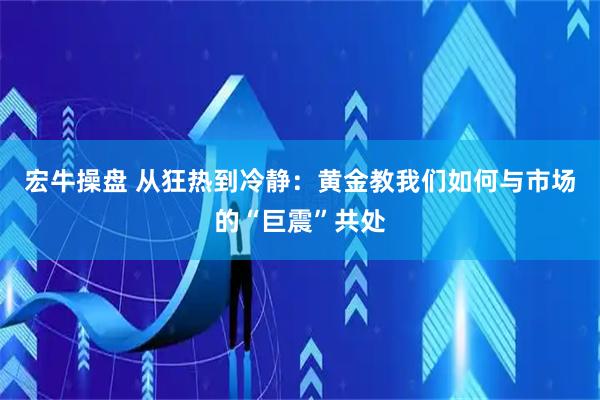 宏牛操盘 从狂热到冷静：黄金教我们如何与市场的“巨震”共处