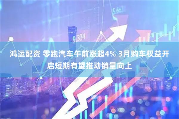 鸿运配资 零跑汽车午前涨超4% 3月购车权益开启短期有望推动销量向上