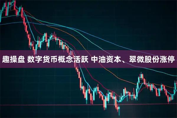 趣操盘 数字货币概念活跃 中油资本、翠微股份涨停