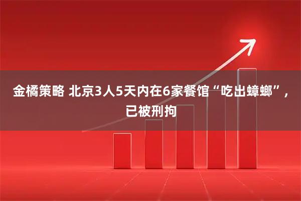 金橘策略 北京3人5天内在6家餐馆“吃出蟑螂”，已被刑拘