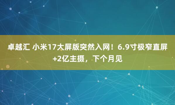 卓越汇 小米17大屏版突然入网！6.9寸极窄直屏+2亿主摄，下个月见