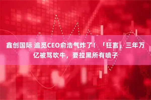 鑫创国际 追觅CEO俞浩气炸了！「狂言」三年万亿被骂吹牛，要拉黑所有喷子