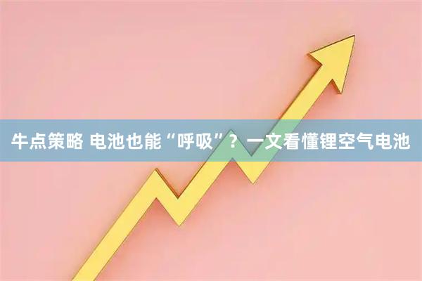 牛点策略 电池也能“呼吸”？一文看懂锂空气电池