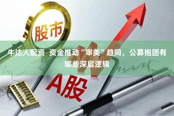 牛达人配资  资金推动“审美”趋同，公募抱团有哪些深层逻辑